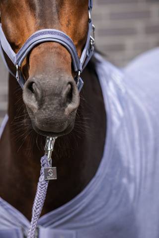 Licol Softshell Jewel Classic Sports - Eskadron - Chic et r&eacute;glable