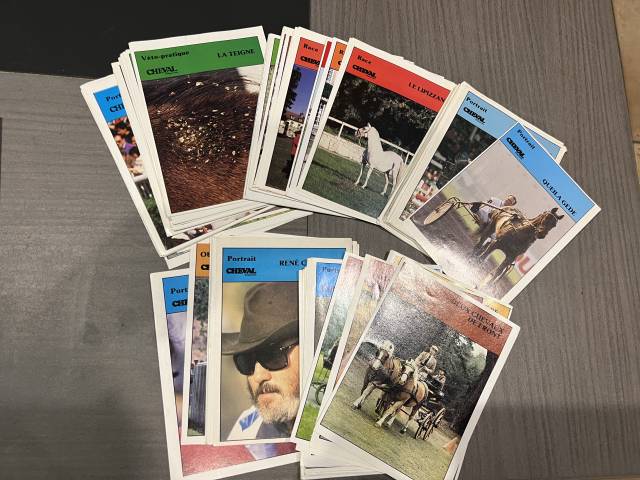 Fiches cheval magazine bo&icirc;tier plein &eacute;quitation cavalie