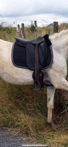 Selle dressage devoucoux 17,5