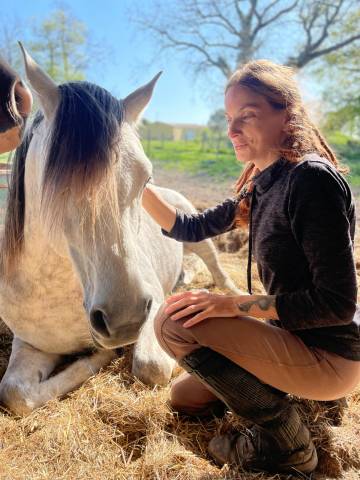 Magnifique cheval de loisir psa