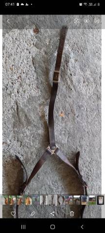 Collier de chasse de randonn&eacute;e Taille grand cheval 