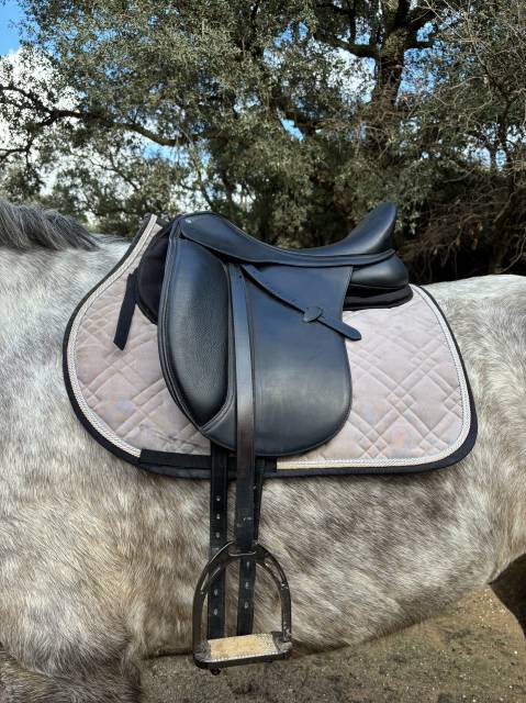 Selle Dressage Arena 18 