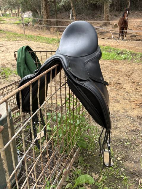 Selle Dressage Arena 18 