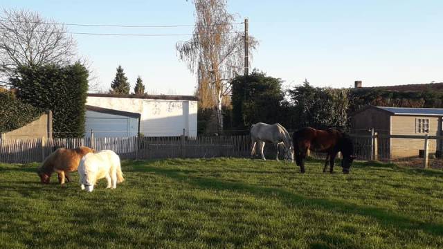 Pension à la ferme