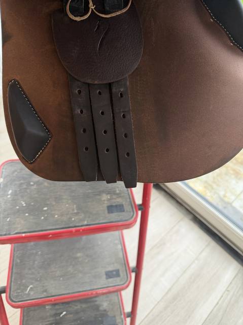 Selle antares connexion 2022 