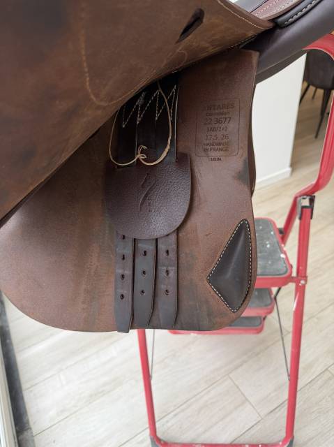 Selle antares connexion 2022 