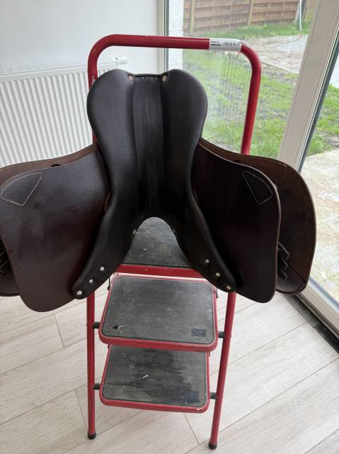 Selle antares connexion 2022 