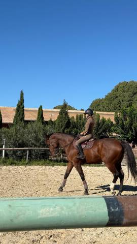 Faire offre pour maison 5*