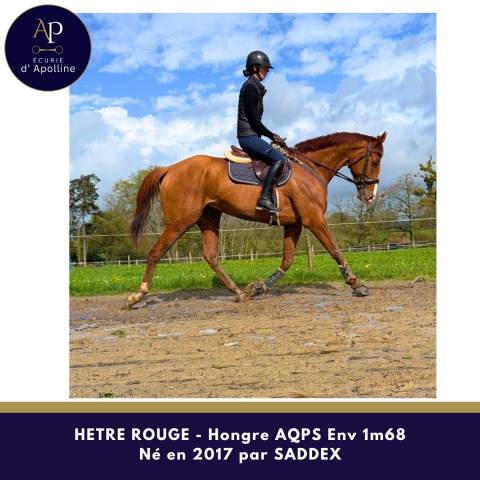 Magnifique aqps env 1m68