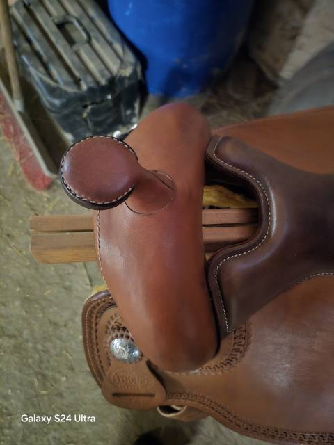 Selle pool&rsquo;s 2010