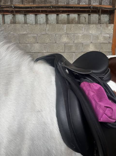 Selle mixte waldausen full &eacute;quip&eacute; 17,5p 