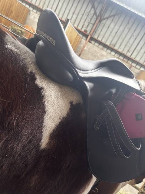 Selle mixte waldausen full &eacute;quip&eacute; 17,5p 