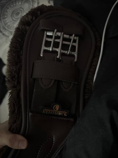 Sangle courte anatomique Kentucky marron 