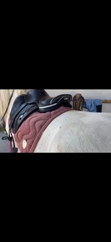 Selle cwd 2GS mademoiselle 