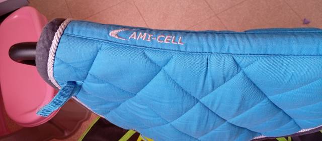 Tapis Taille shetland 