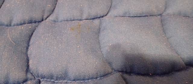 Tapis bleu Taille cob poney