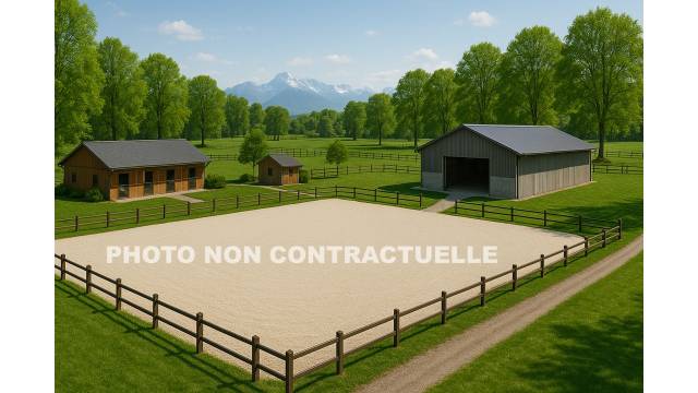 Ecurie en activité proche genève - ain (01)