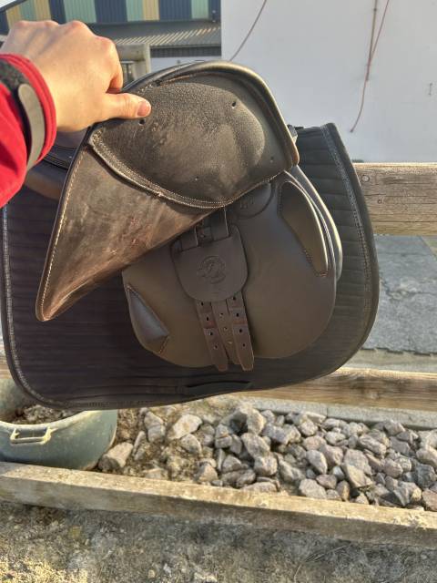 Selle Antares signature 2023