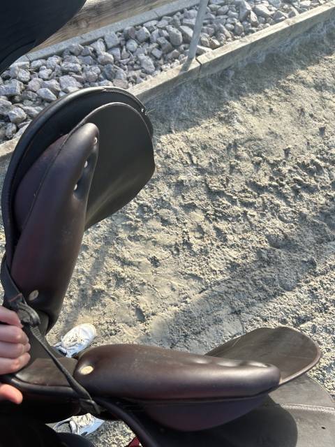 Selle Antares signature 2023