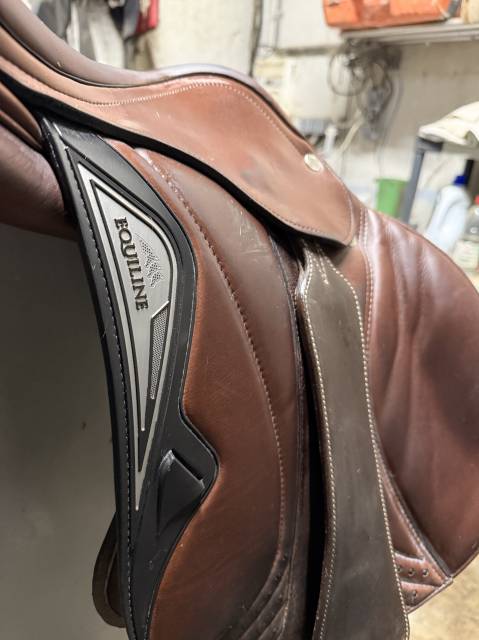 Selle equiline 