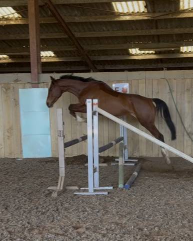 Aqps pour concours et/ou loisirs 