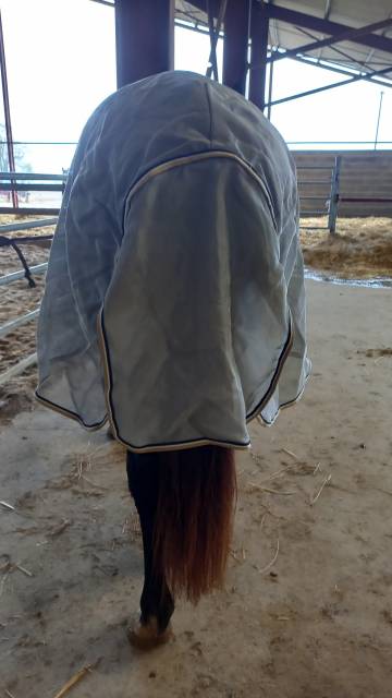 Couverture anti mouche Horse Ware 