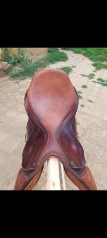 Selle bates caprilli 17"5
