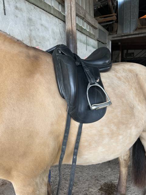 Selle de dressage Equipe