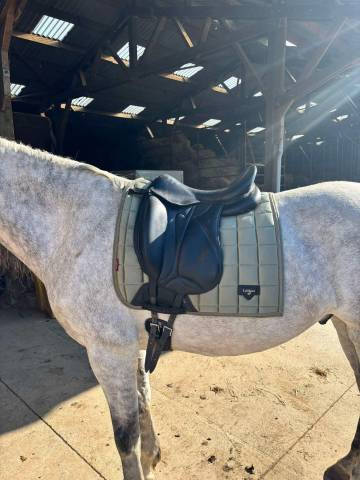 Selle de dressage Devoucoux Malika