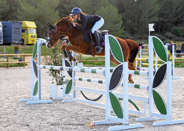 Ponette d pour as à louer 9 ans