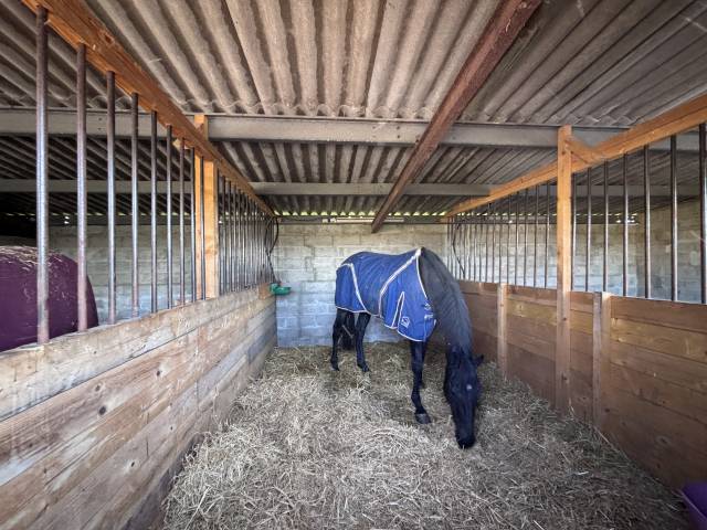 écurie familiale proche de blaye 