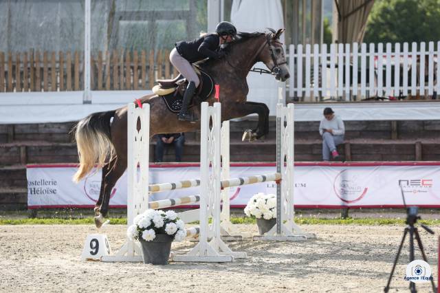 Jument sf top lignée 