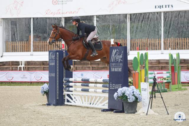 Jument sf 4 ans cooper vd heffnick 