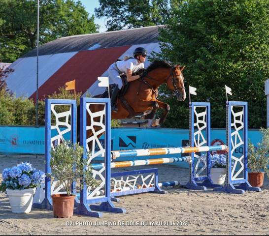 Jument sf 4 ans cooper vd heffnick 
