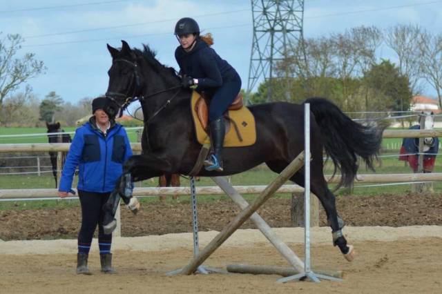 Cheval pure race espagnol