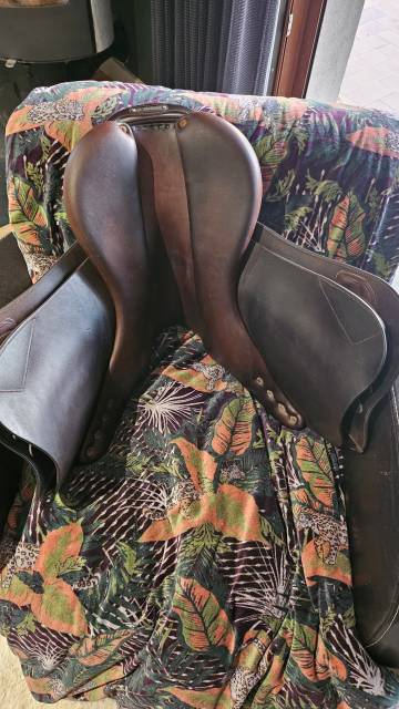 Selle Delgrange Partition 17.5