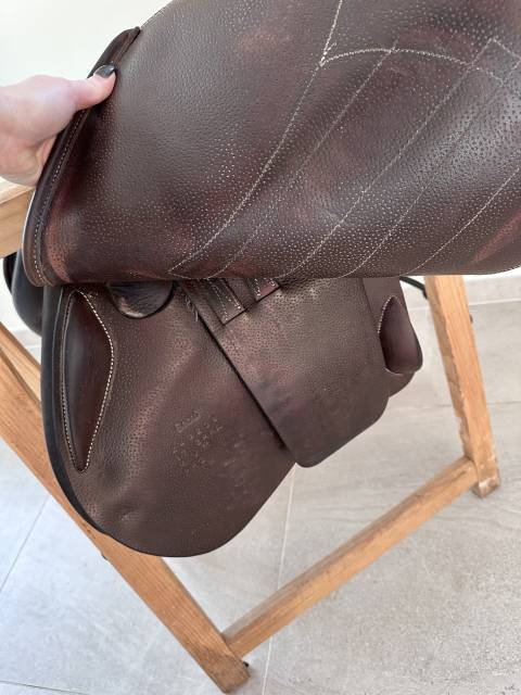 Selle Seoul Forestier buffle