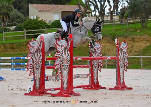 Cheval de sport cso  amateur élite pro 3 10ans