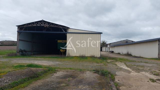 Exploitation céréalière sur 720 ha