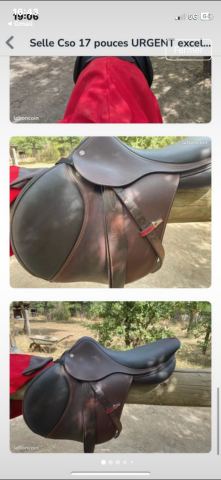 Selle ÉQUIPE 17pouces de fin 2024