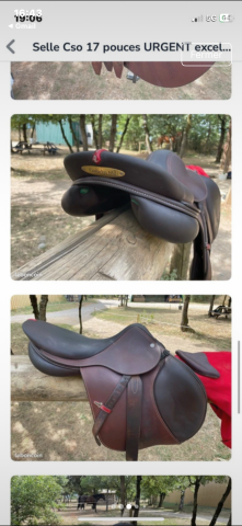 Selle &Eacute;QUIPE 17pouces de fin 2024