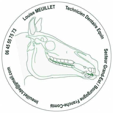 Technicien dentaire equin