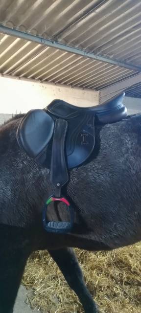 Selle ikonic &eacute;volution 