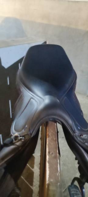 Selle ikonic &eacute;volution 