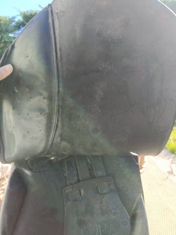 Selle mixte 17.5 Victoria 