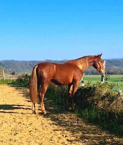 Magnifique pp pre de 2024