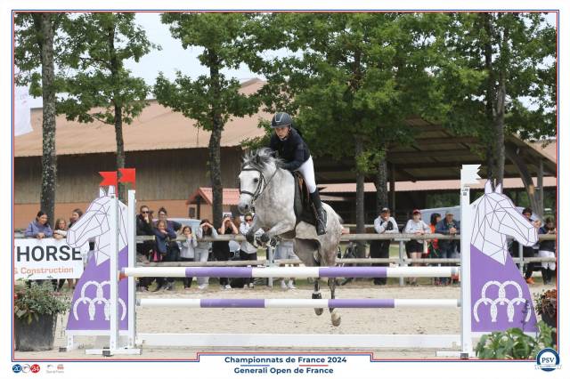 Très jolie ponette c – 12 ans– polyvalente