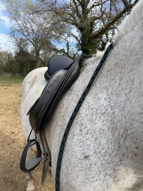 Selle de dressage