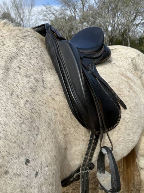 Selle de dressage