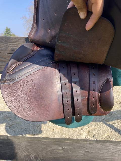 Selle forestier S&eacute;oul C 